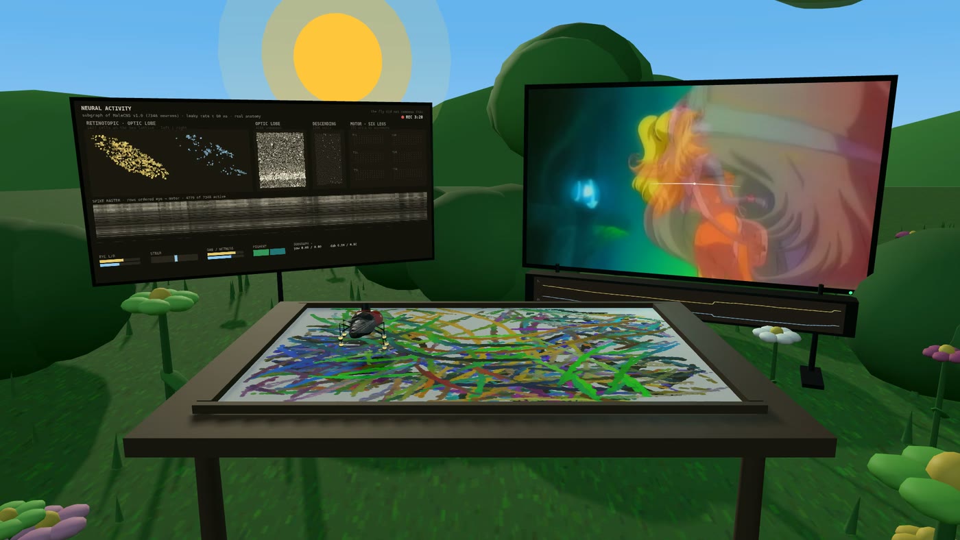 The stage: neural activity panel on the left, music video on the right, the fly walking on a paper plate between them