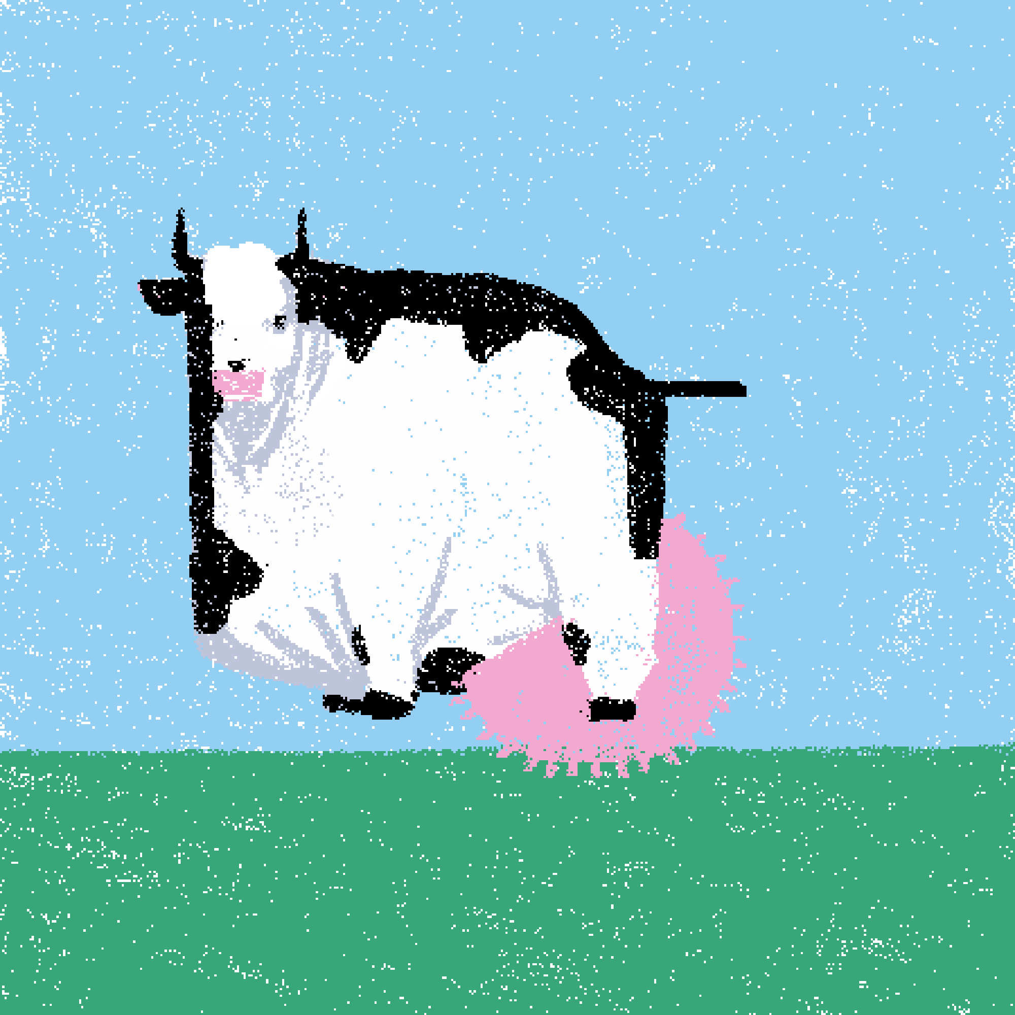 cow #203