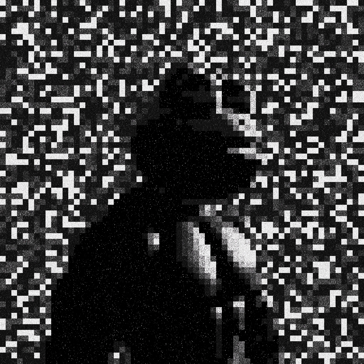10/12 (SHREDDED) SHREDDEDPEPE
