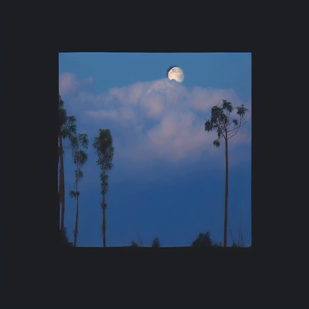 trappedJPEG #7