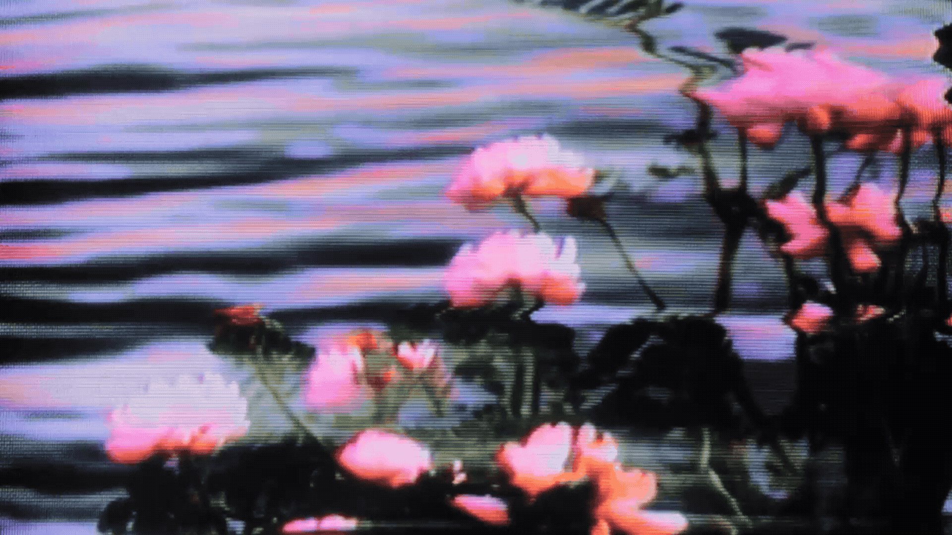 fragile beauty