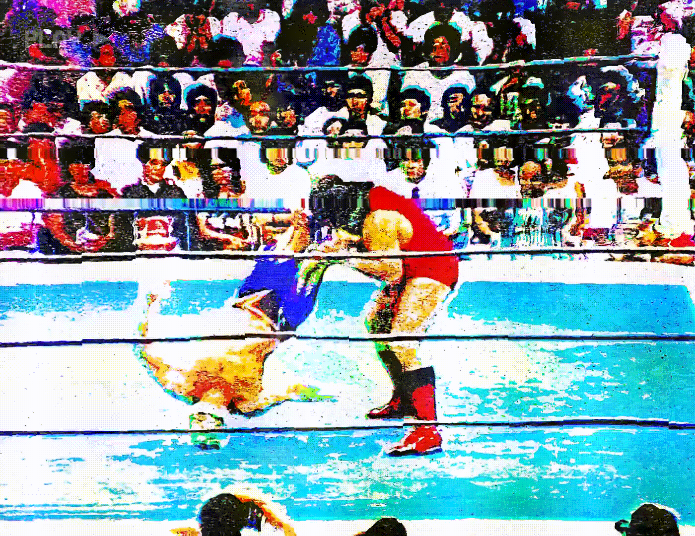 Feinted Tiger Mask