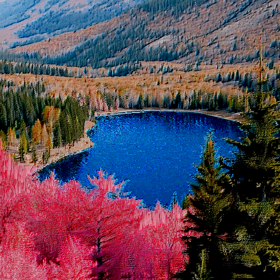 In Nature