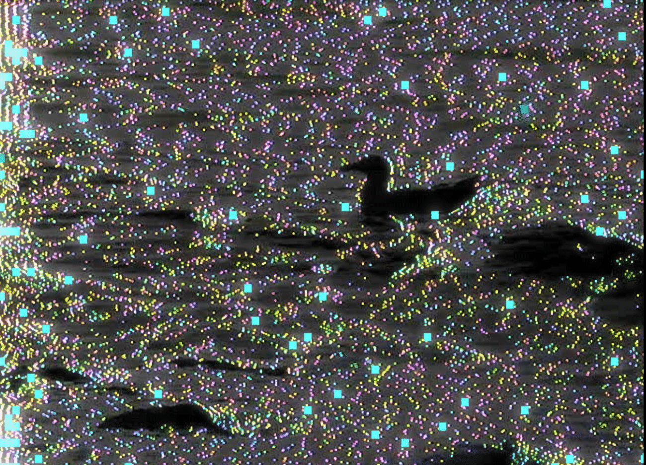 long_strange_trip