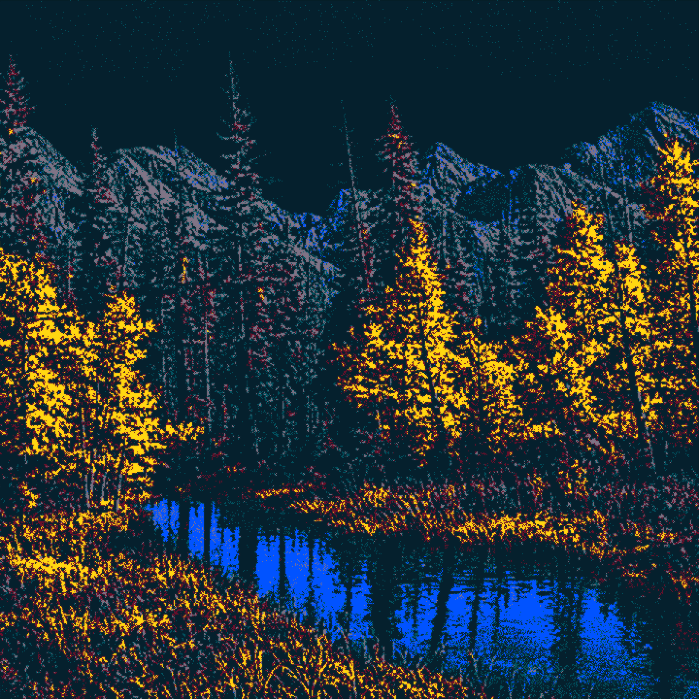 Forest Within the Night