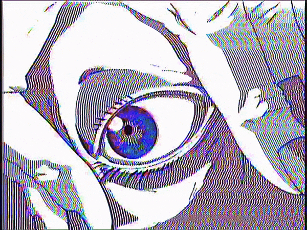 _F E E D_