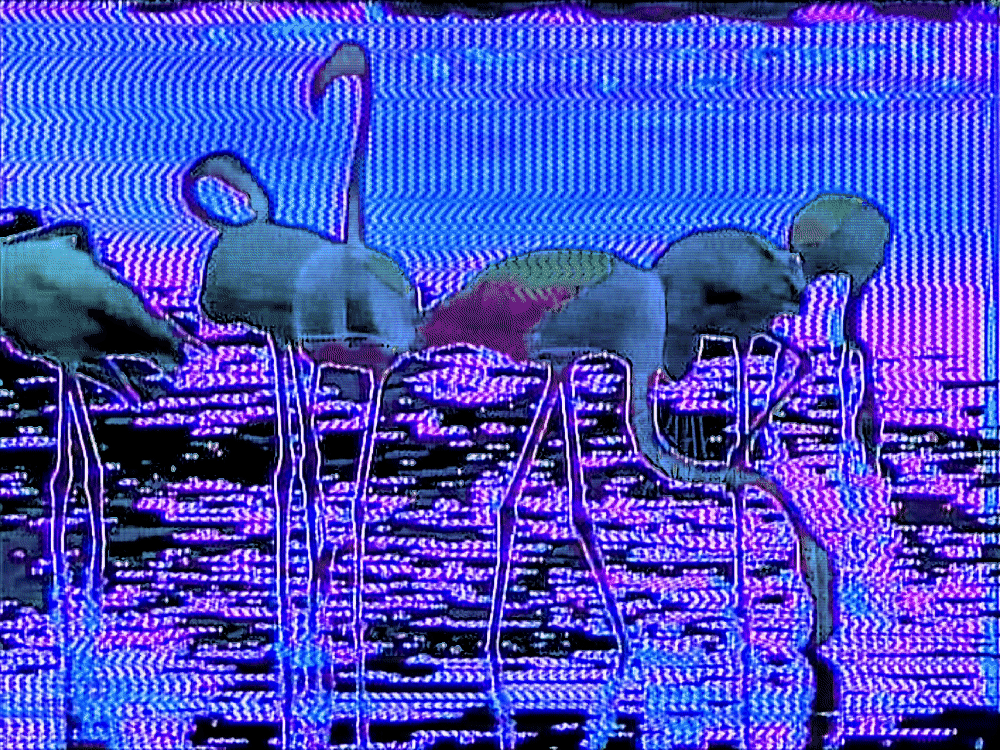 _memory pool