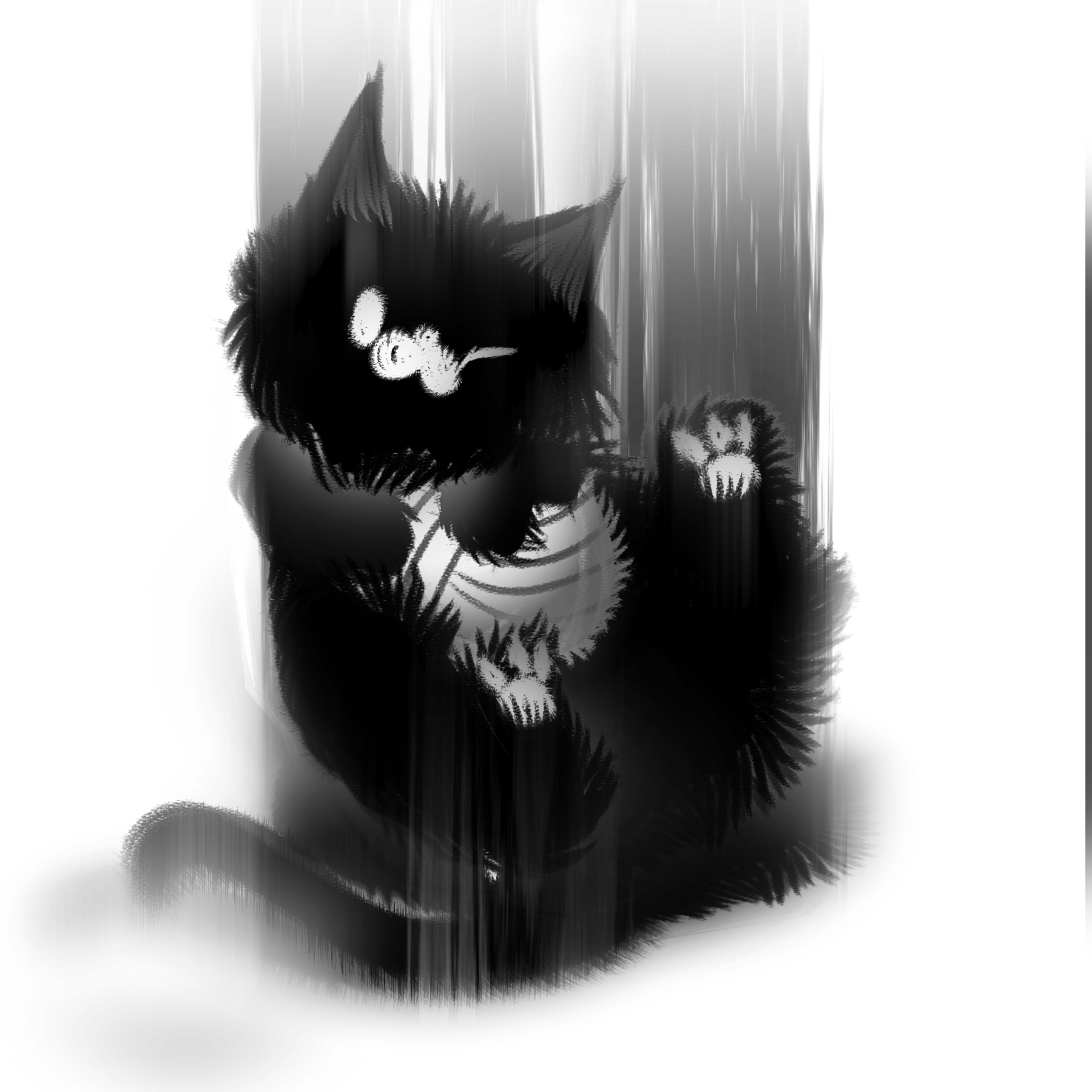 mischievous cat