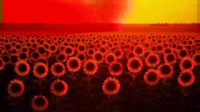 GS026 - Sentir el Calorcito