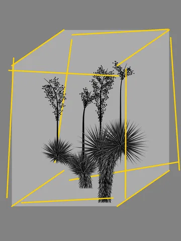 Marfa Yucca #0 by Daniel Calderon Arenas