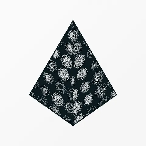 Coalition #0 by Generative Artworks