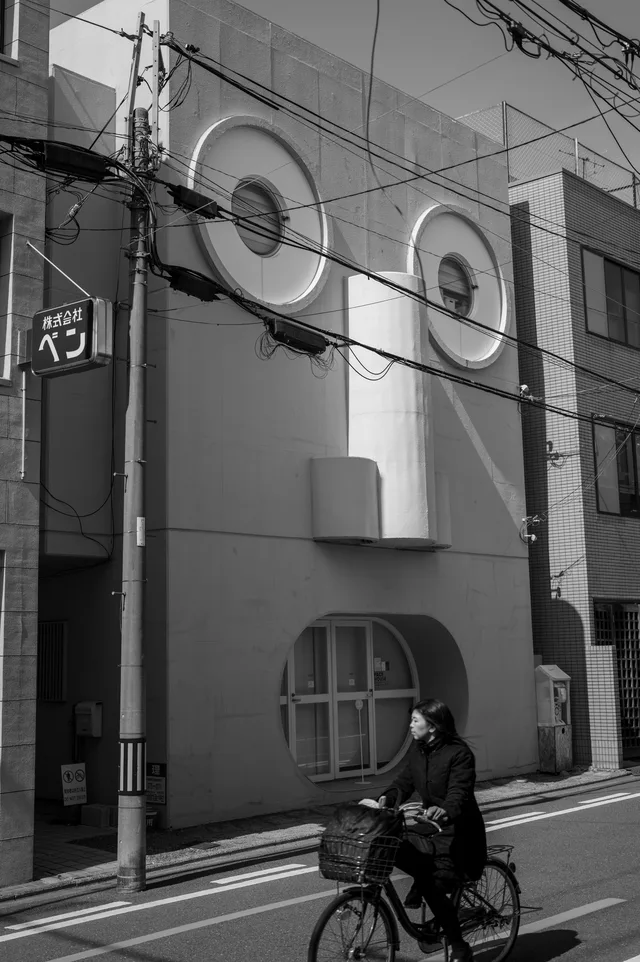 Face House