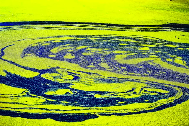 Matcha Waterway