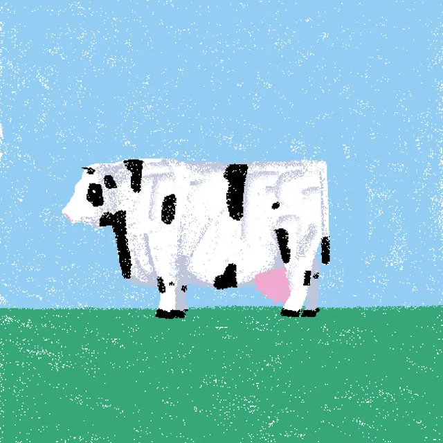 cow #211