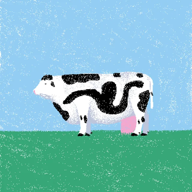 cow #58