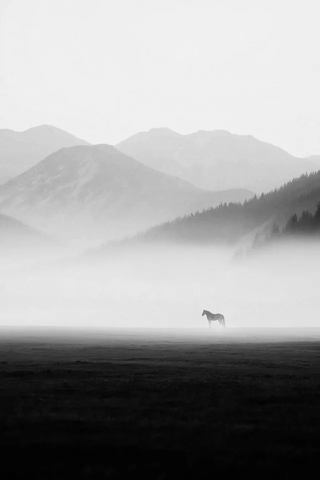 Serene