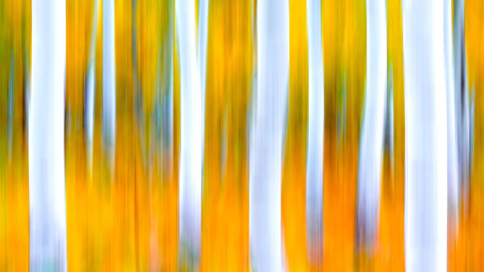 Ghosts Of Aspen