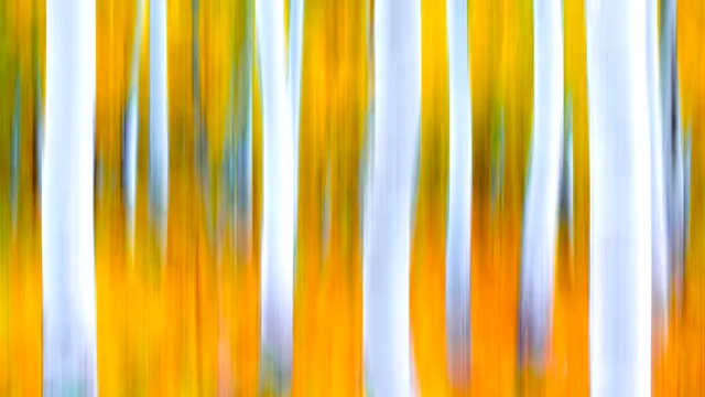 Ghosts Of Aspen