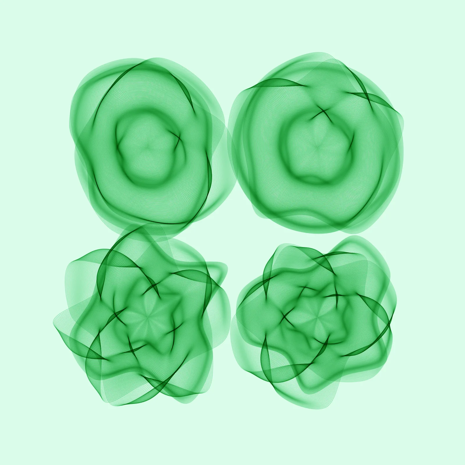 Flowers #4040