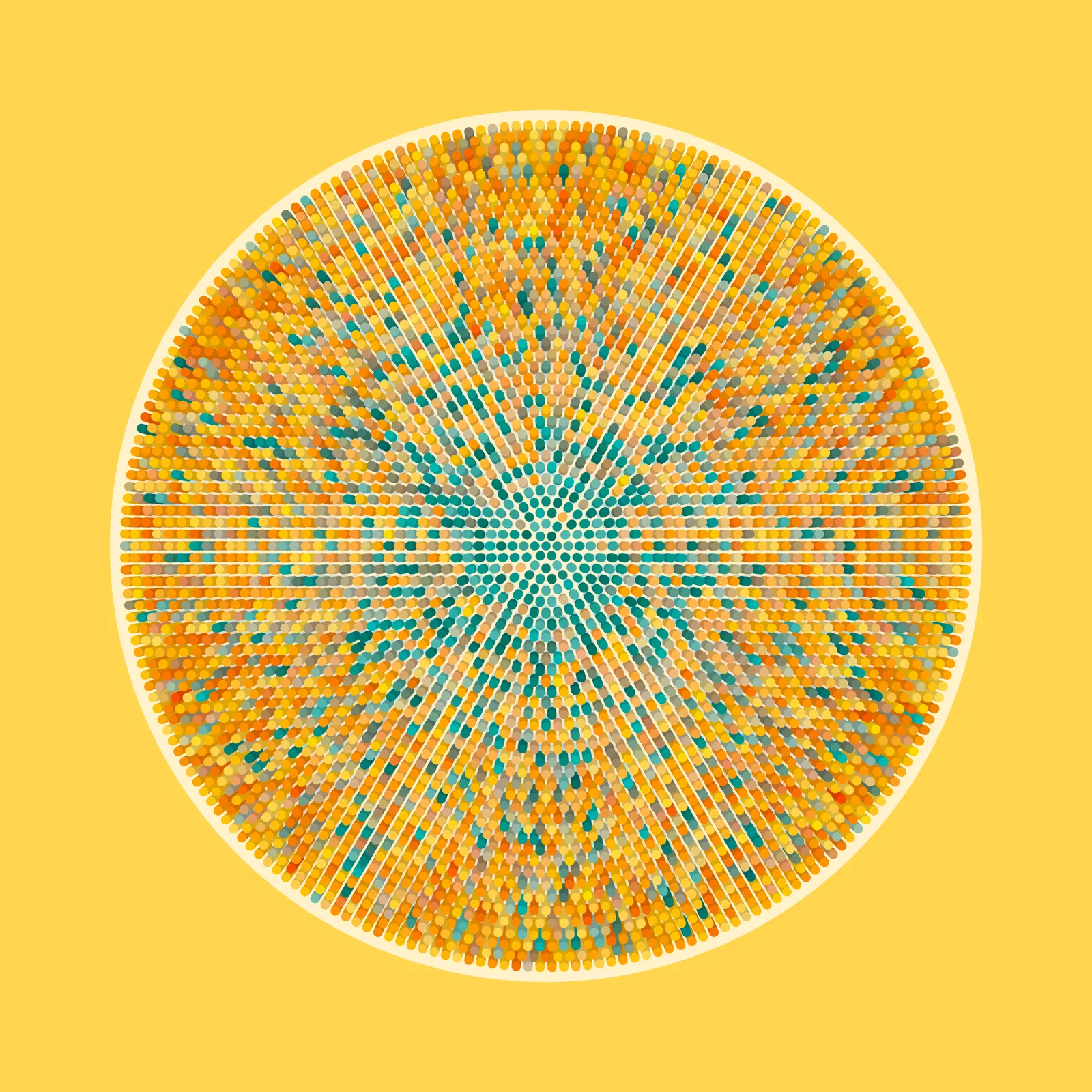 Transitions #3543