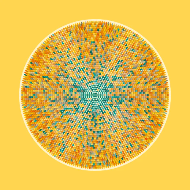 Transitions #3543