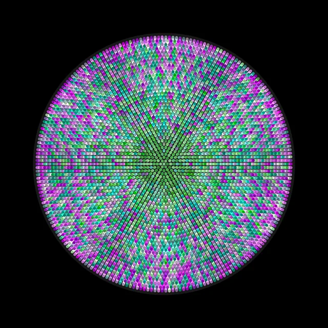 Transitions #3833