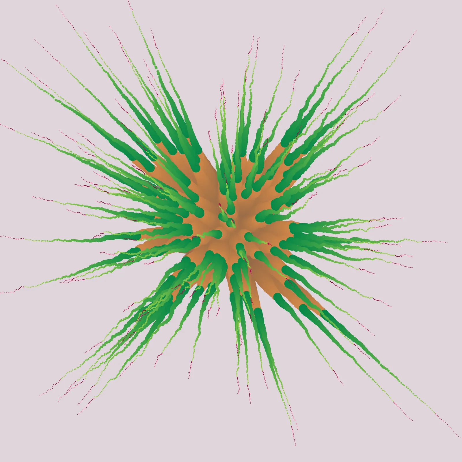 Star Flower #385