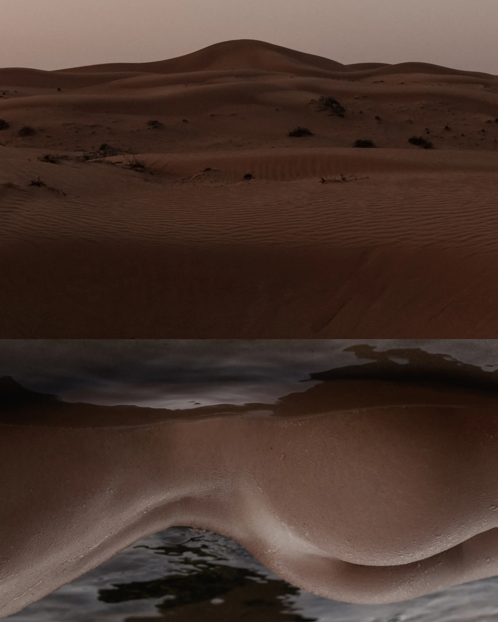 OASIS
