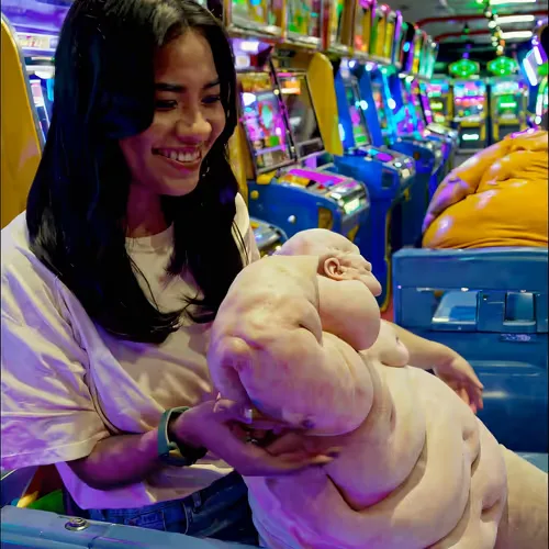 No Pets Allowed in the Arcade
