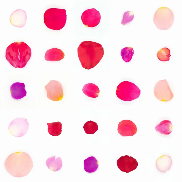 Infinite Petals 5x5#21083