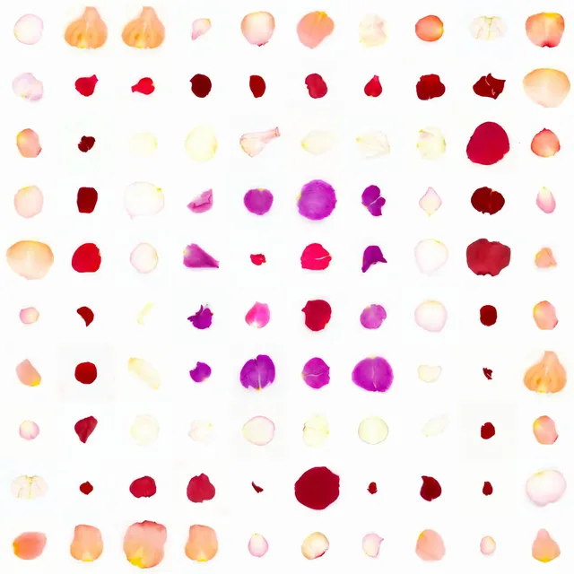 Infinite Petals 10x10#10106