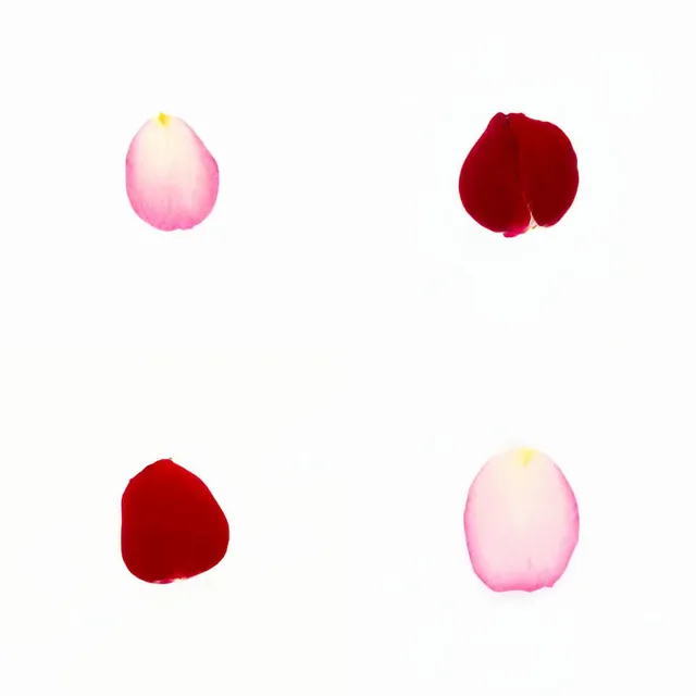 Infinite Petals 2x2#3617