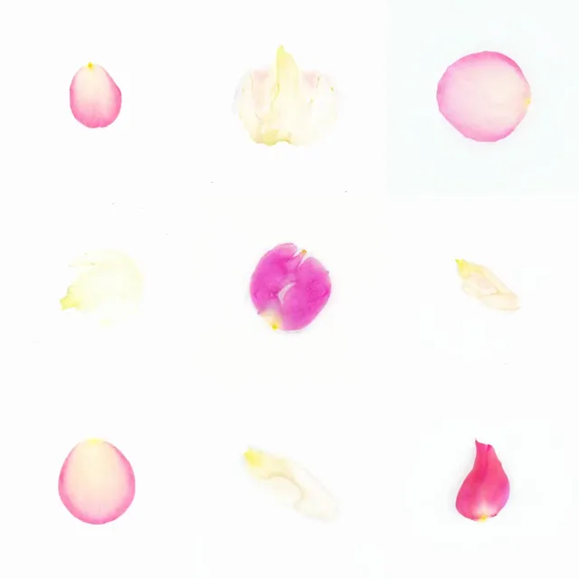 Infinite Petals 3x3#3637