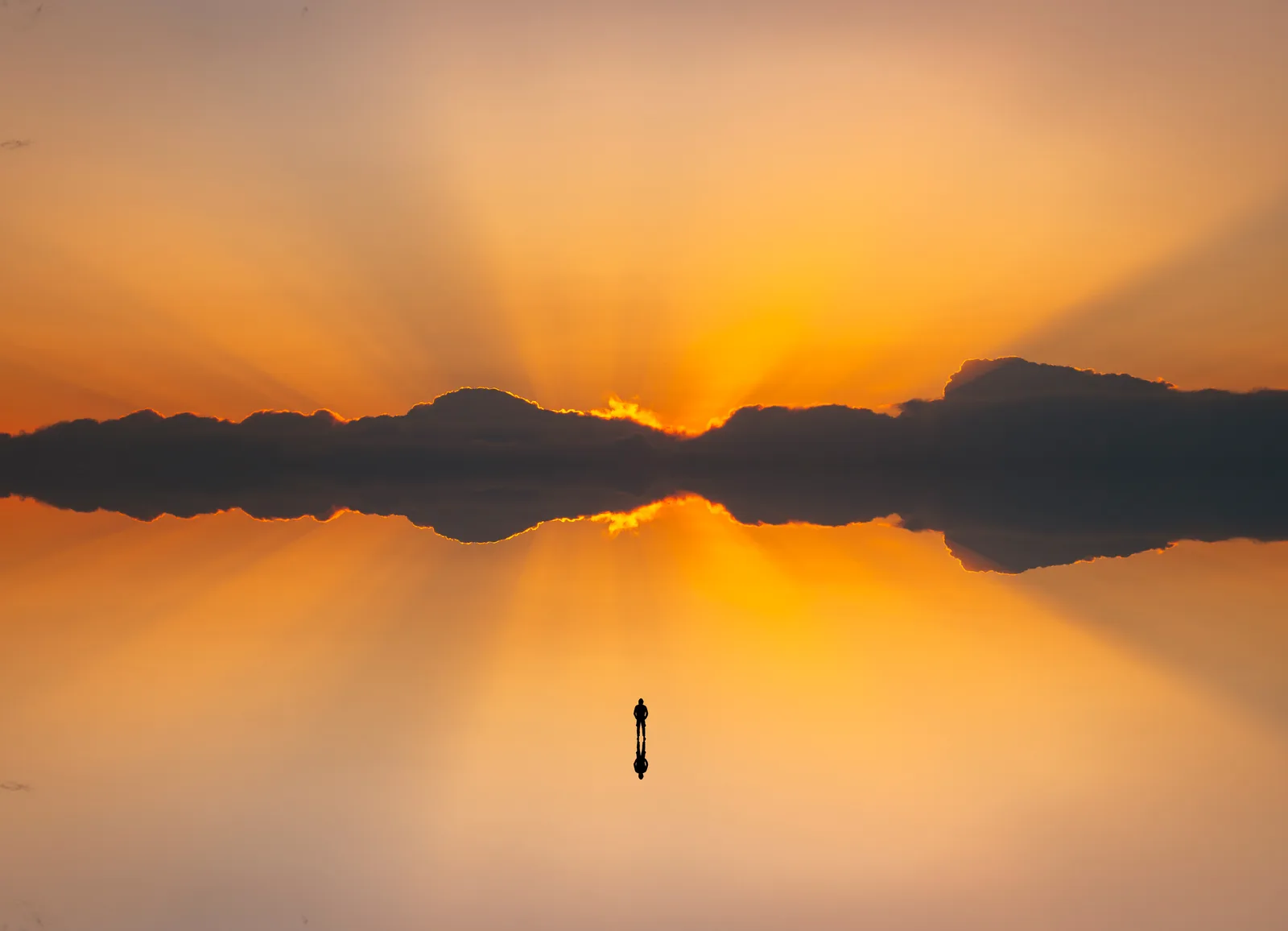mirroed 76