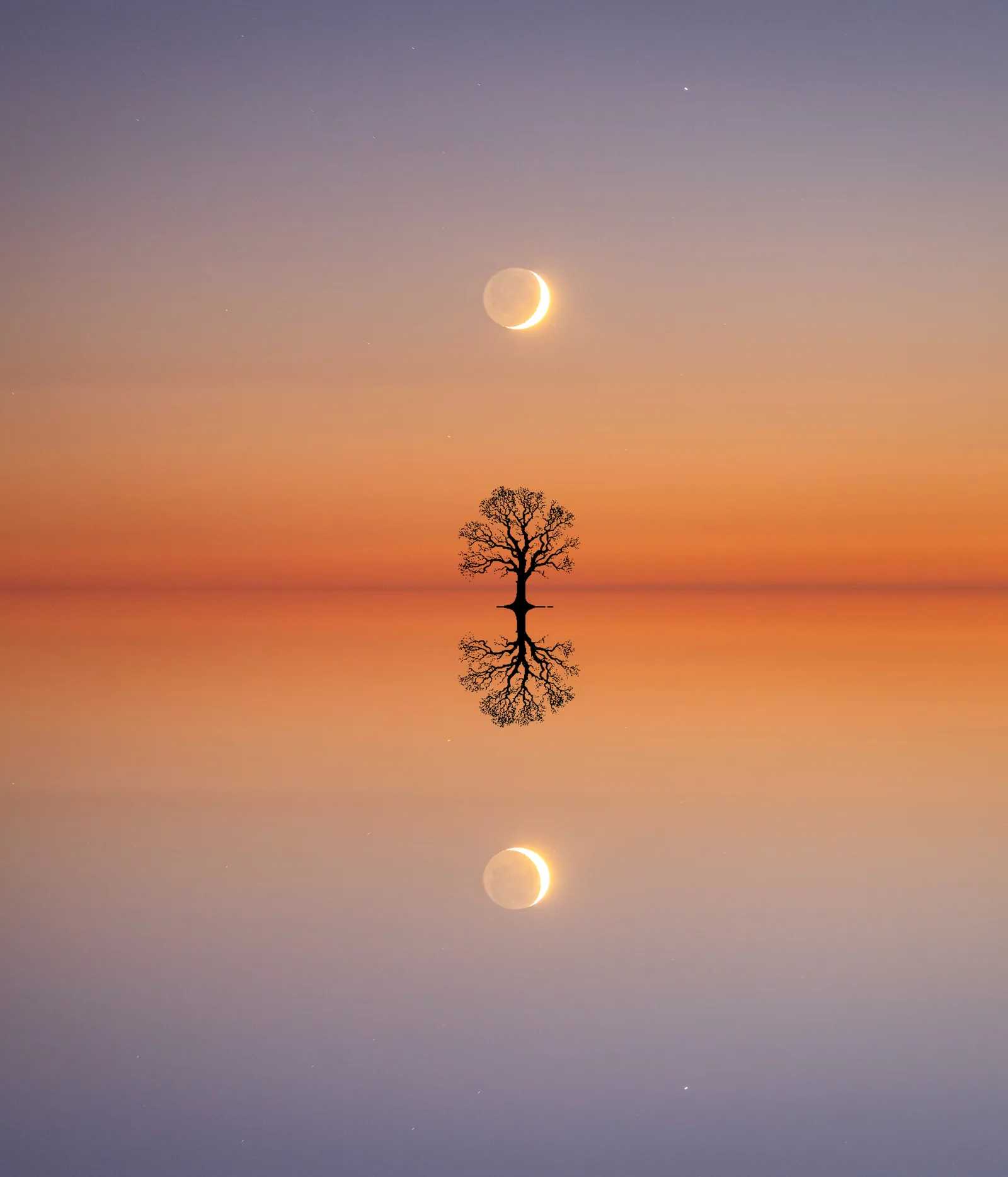 mirrored 4