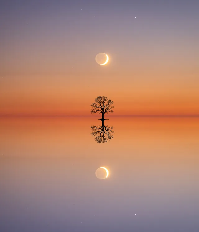 mirrored 4
