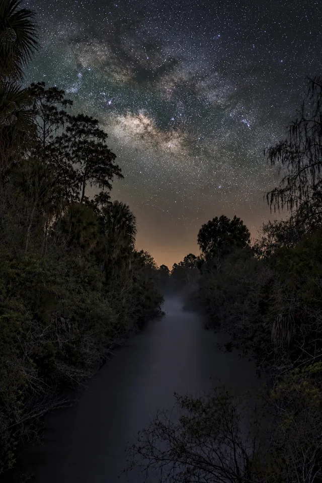 Everglades After Dark