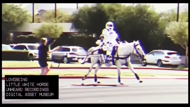 LITTLE WHITE HORSE