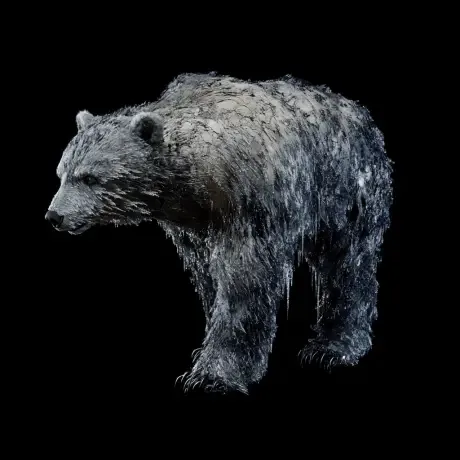 bear #3799