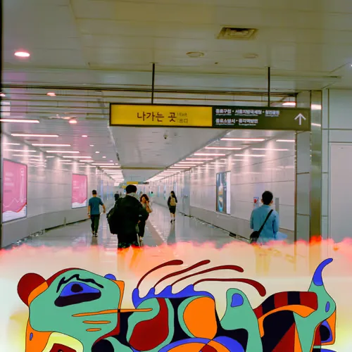 Duck in Seoul