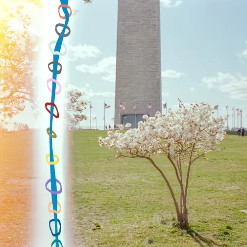 Power Rings