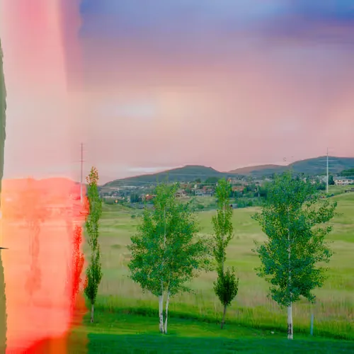 Line of Trees