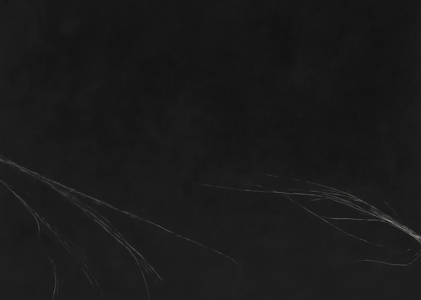 Lumens #346