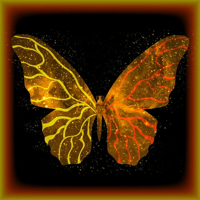 ✦《 DESIRE_BUTTERFLY ▸ exe 》✦