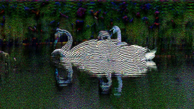 GLN_24