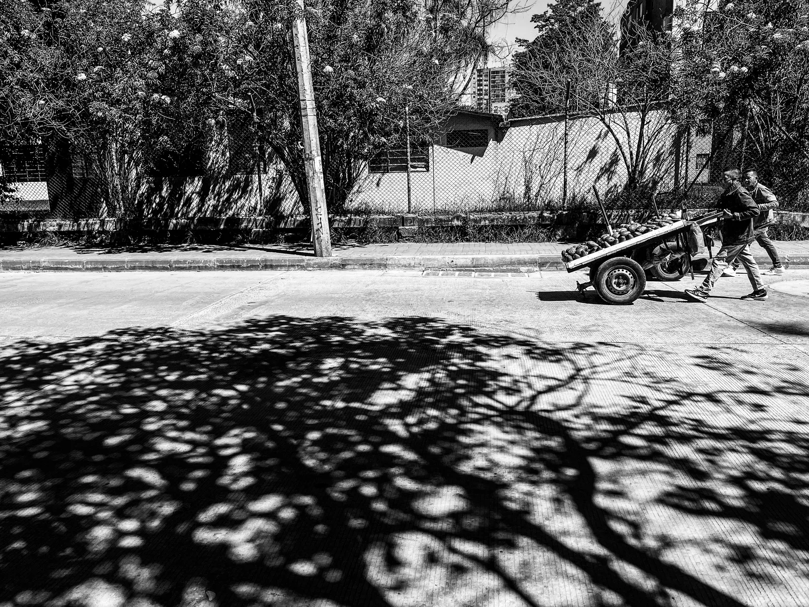 Shadows of Daily Effort
