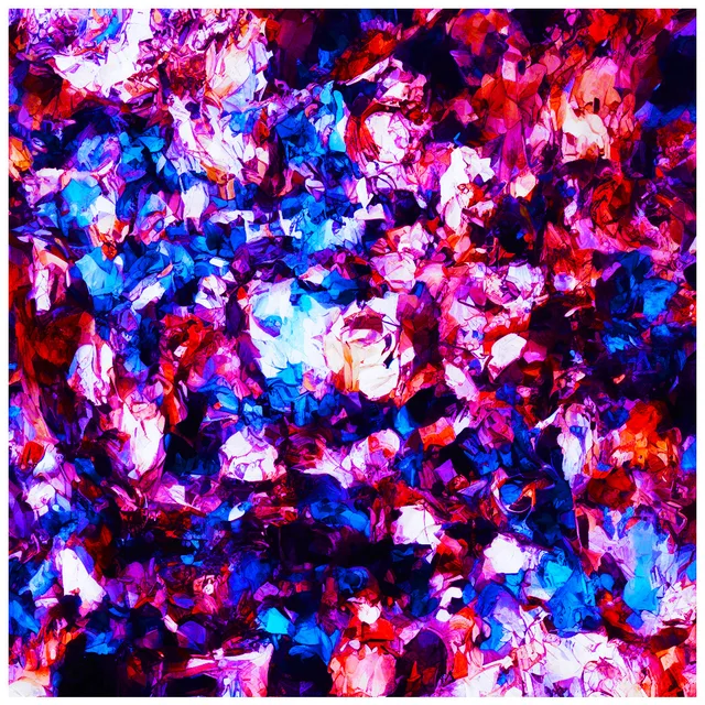 Collapse of Colors #70