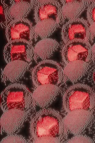 indeterminatio.