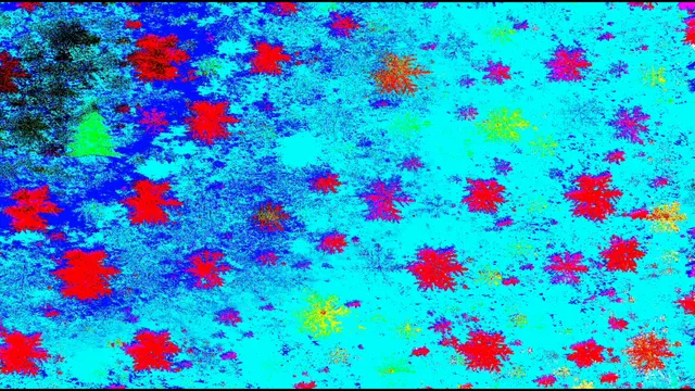 Hallucinatory Holiday