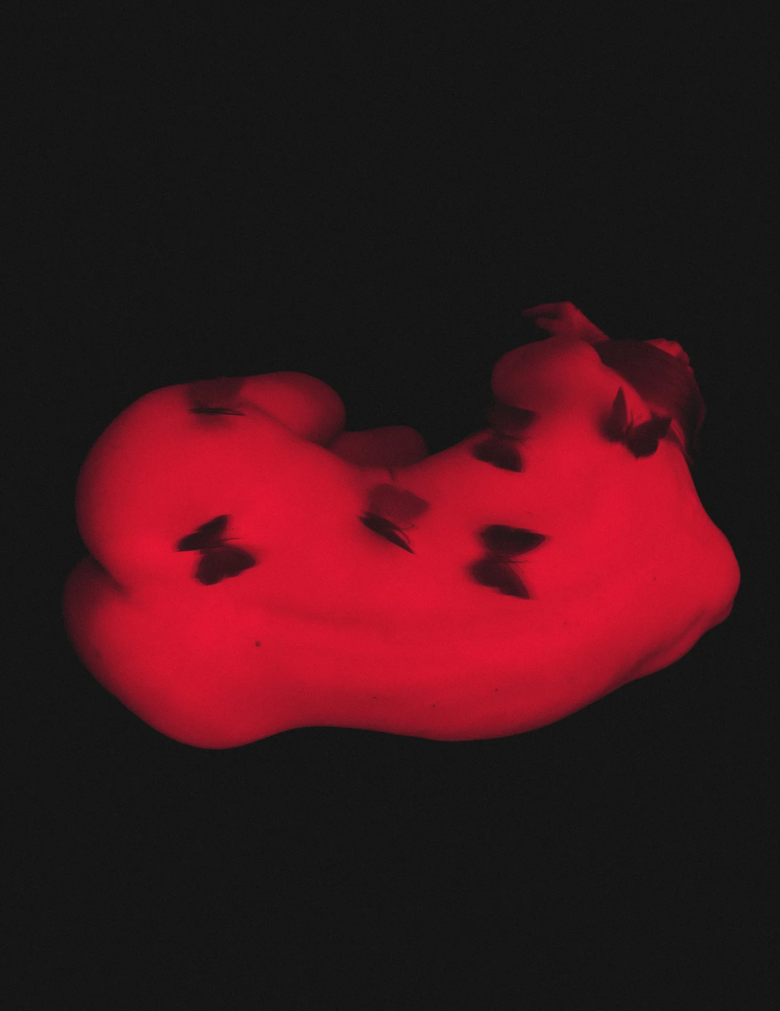Red Cocoon